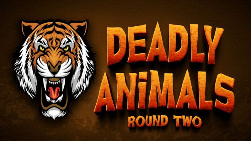 Deadly Animals Round Two